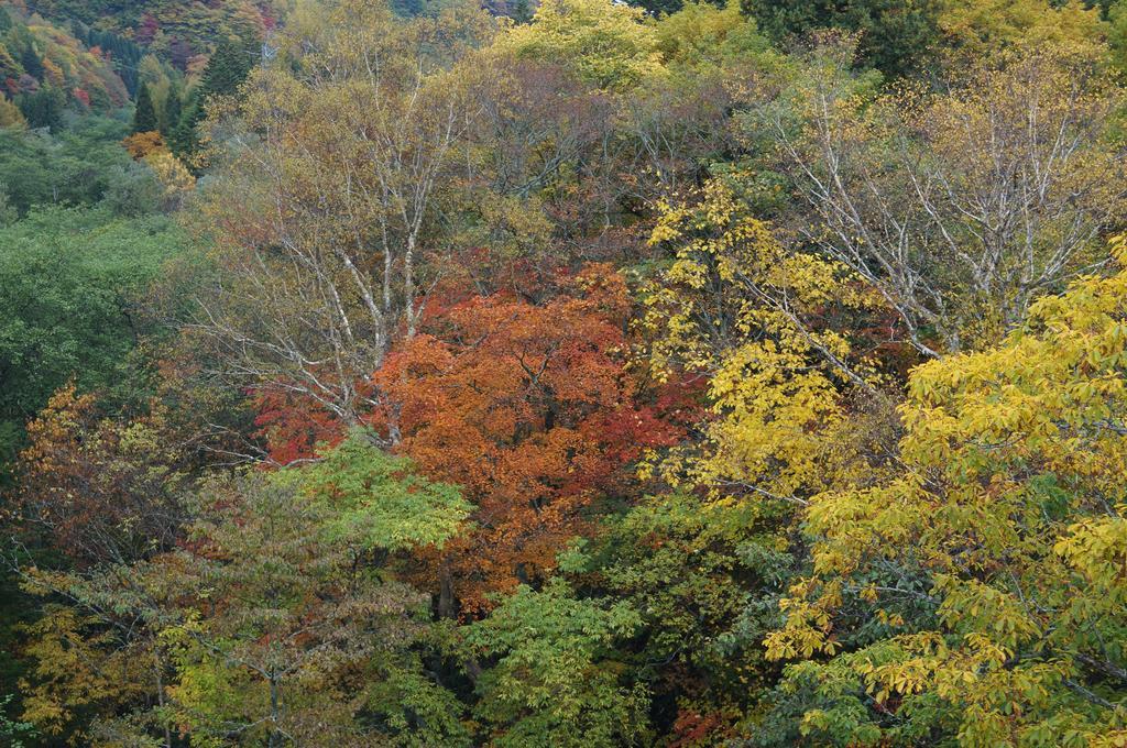 Kazeya Hotel Takayama  Buitenkant foto